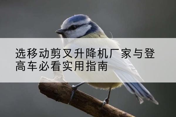 镇沅电动升降机厂家-选移动剪叉升降机厂家与登高车必看实用指南