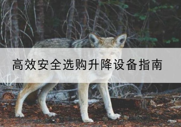 镇沅升降货梯厂家推荐-*安全选购升降设备指南