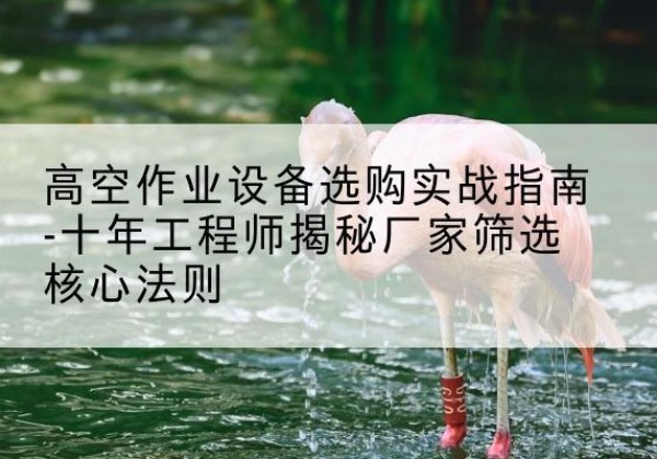 镇沅剪叉式升降机厂家-高空作业设备选购实战指南-十年工程师揭秘厂家筛选核心法则